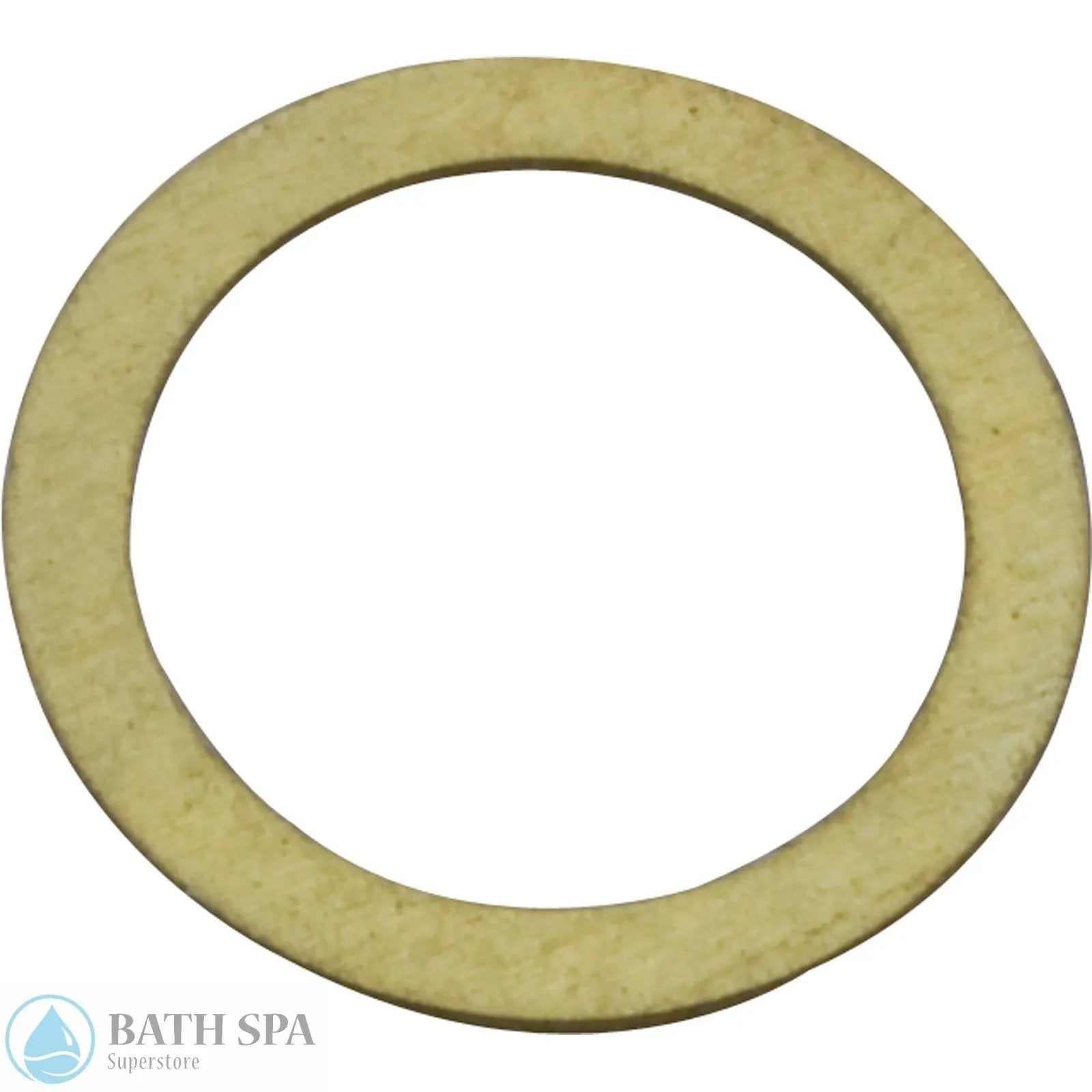 StaRite Dura-Jet JT Series Pump Components| Parts| #3 Shim (.010")