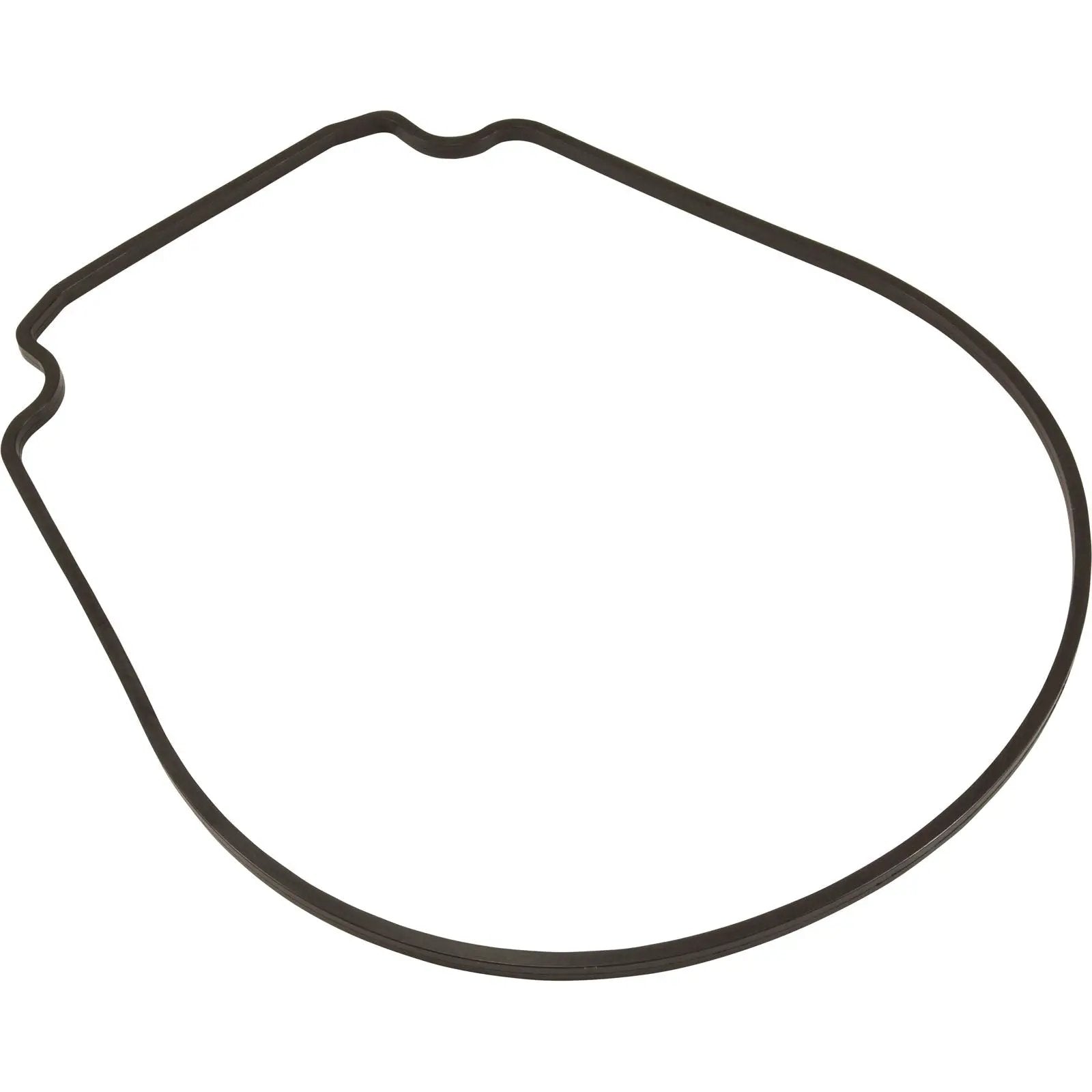 Pentair Purex IntelliFlo VS, Seal Plate Gasket, Special ID/OD (357100Z) Pool Parts: Pentair 357100Z