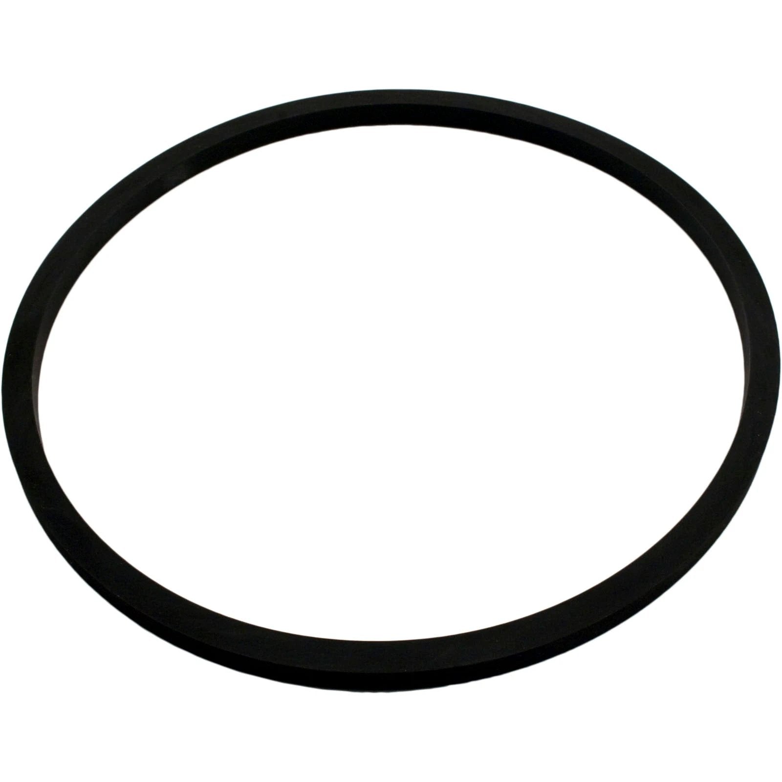 O-223 O-Ring Spa Parts 390003