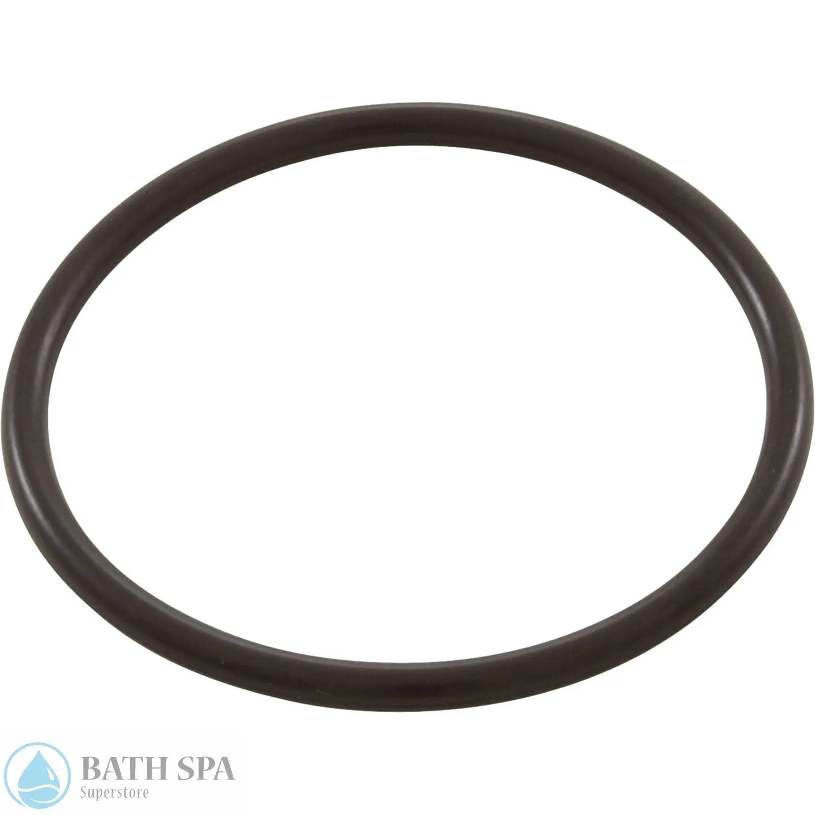 StaRite JW Series Pump | Parts | #13 O-Ring, Pump Union Sta-Rite(O-49)