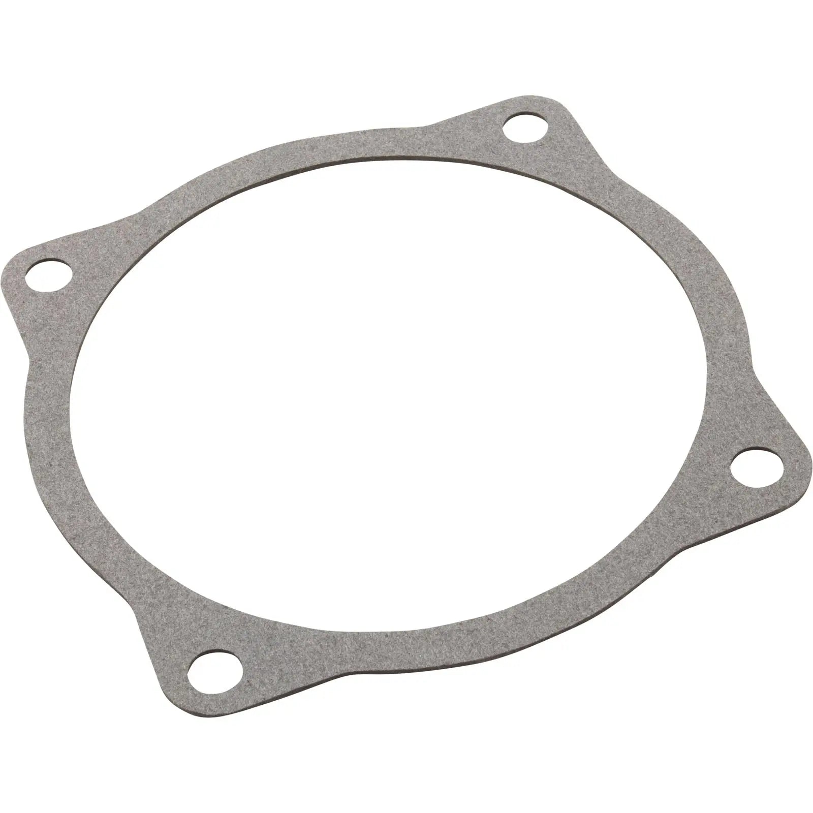 Aqua Flo A Series Volute Gasket (91500050) Gaskets 91500050