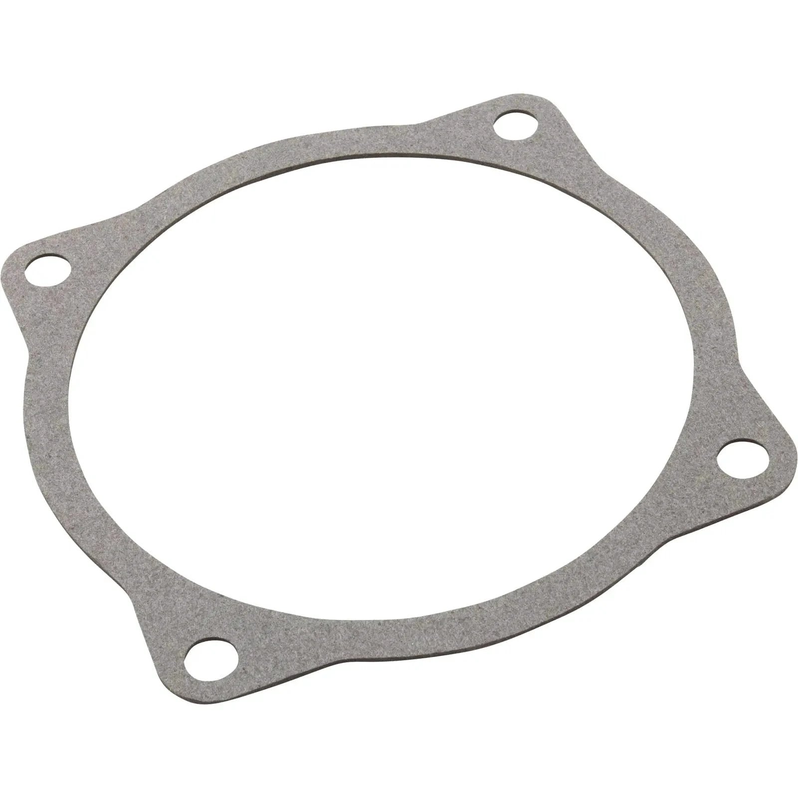 Aqua Flo A Series Volute Gasket (91500050) Gaskets 91500050