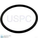 StaRite JWPA Series Pump| Parts| #5 O-Ring, Pump Union Sta-Rite(O-49)