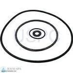 StaRite Max-E-Glas/Dura-Glas Pump Components| Parts| Seal Gasket Kit Dura/Maxi 1998-Present 35-102-1136_xl