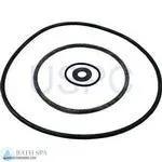 StaRite Max-E-Glas/Dura-Glas Pump Components| Parts| Seal Gasket Kit Dura/Maxi 1998-Present 35-102-1136_xl