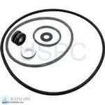 StaRite Max-E-Glas II / Dura-Glas II Pump Components| Parts| Seal Gasket Kit Dura/Maxi II (Pre-1998) 35-102-1140_xl
