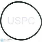 StaRite Max-E-Glas II / Dura-Glas II Pump Components| Parts| 7D O-Ring, Insert, Dura/Maxi II (Pre-98)(O-113) 35-102-1144_xl