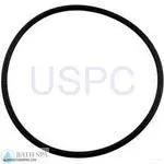 StaRite Dyna-Glas/Dyna-Max Pump Components| Parts| #13 Trap Cover O-Ring(O-12)