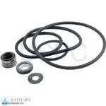StaRite Dyna-Glas/Dyna-Max Pump Components| Parts| Seal Gasket Kit Dyna-Glas/Dyna-Max 35-102-1200_xl