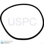 StaRite Dyna-Jet-TPE Series Pump Components| Parts| #6 O-Ring, Seal Plate, Dyna-Glas/Dyna-Max (O-469)