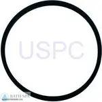 StaRite 4" Trap Kit Pkg 142 for LT Series Pumps| Parts| #4 Lid Seal for 4" Trap Kit