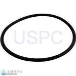 StaRite Max-E-Glas/Dura-Glas Pump Components| Parts| 20 O-Ring, Cover, 5" Trap Kit(O-218) 35-102-1376_xl_353b3f07-c1a5-41e4-b23c-1d2a47f29bee