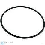 StaRite Dura-Jet JT Series Pump Components | Parts | #6 O-Ring, Seal Plate (O-402)