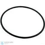 StaRite Dura-Jet JT Series Pump Components | Parts | #6 O-Ring, Seal Plate (O-402)