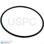 StaRite JWPA Series Pump| Parts| #7 O-Ring, Seal Plate (O-402)