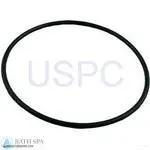 StaRite Dura-Jet JS Series Pump Components| Parts| #4 O-Ring, Seal Plate (O-402)