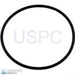 StaRite Dura-Jet JT Series Pump Parts| Parts| #4 O-Ring, Seal Plate (O-231)