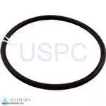 StaRite CFA Series Pump| Parts| #13 O-RING, 5" Trap Lid