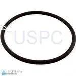 StaRite CFA Series Pump| Parts| #13 O-RING, 5" Trap Lid