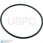 StaRite ABG Series Above Ground Pump| Parts| #10 O-Ring, SEAL PLATE (O-336)