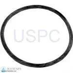 StaRite ABG Series Above Ground Pump| Parts| #15 TRAP LID O-RING - ABG