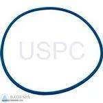 Hayward Northstar SP 4000 Pump Series| Parts| #4 FILTER HEAD O-RING (prior to 2003)