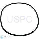 Hayward Northstar SP 4000X Pump Series (Max rated)| Parts| #10 SEAL PLATE O-RING