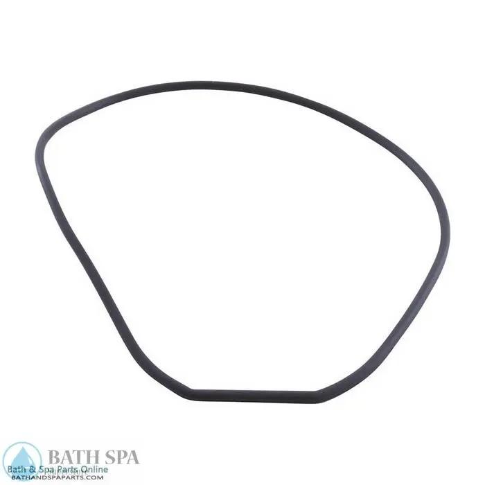 Waterway SVL56 Seal Plate Special Housing Round Gasket (711-4290) Spa Parts: Nuts Bolts & Screws 35-270-2044_XL