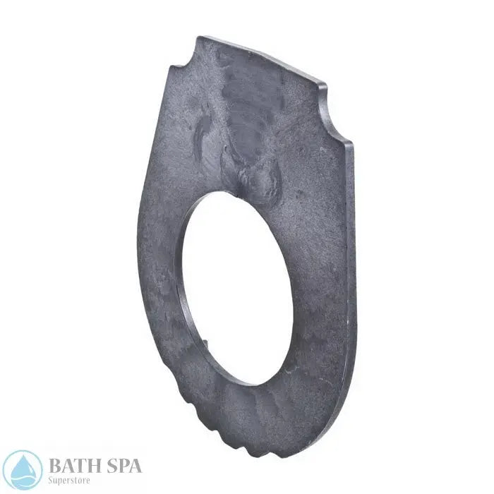 Waterway Champion Seal Plate (319-1420) Spa Pumps & Parts: Spa Pump Parts 35-270-2122_XL