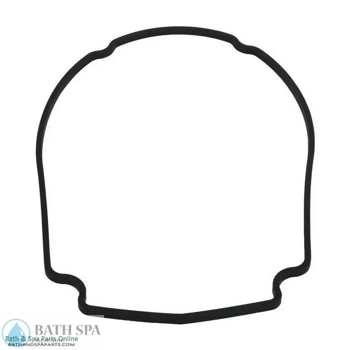 Waterway Champion Faceplate Special Gasket (711-1400) Gaskets 35-270-2124_XL