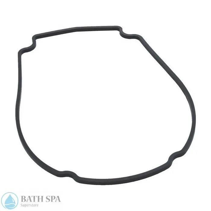 Waterway Econo Flo/Champion Faceplate Gasket (806-1400) Gaskets 35-270-2125_XL