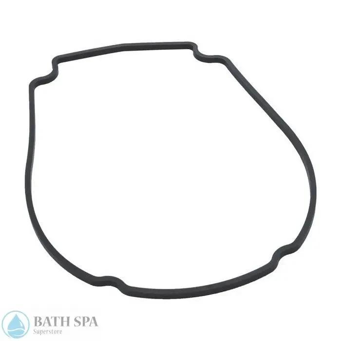 Waterway Econo Flo/Champion Faceplate Gasket (806-1400) Gaskets 35-270-2125_XL