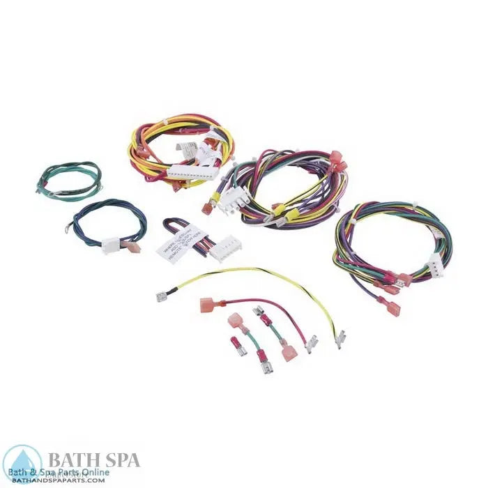 Raypak 207A Wire Harness (010347F) Spa Parts: Spa Heaters (Raypak Spa Heater Parts) 47-197-2136_xl