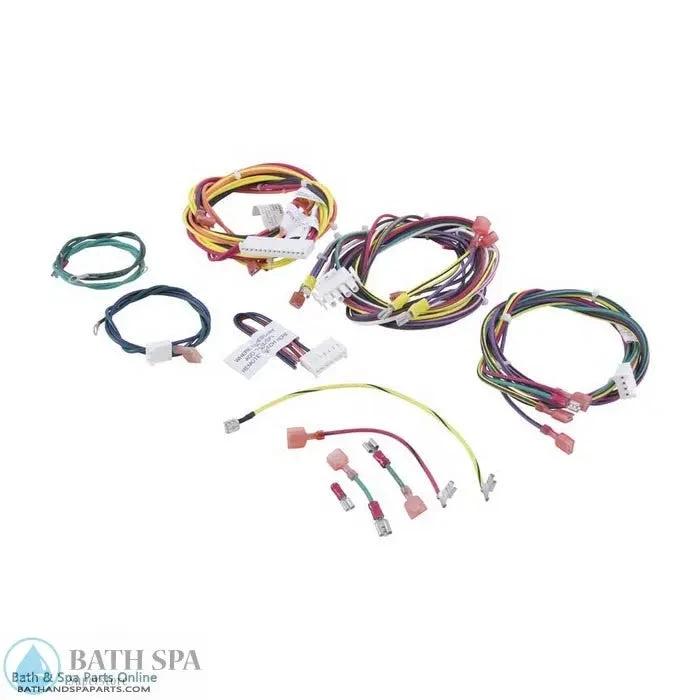 Raypak 207A Wire Harness (010347F) Spa Parts: Spa Heaters (Raypak Spa Heater Parts) 47-197-2136_xl