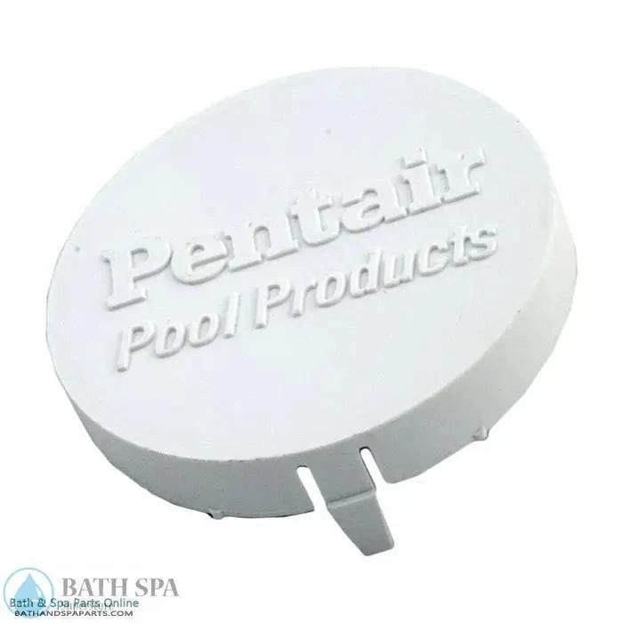American Products Pentair/Admiral Skimmer Logo Disk (510161) Pool Parts: Pool Skimmers & Parts 510161