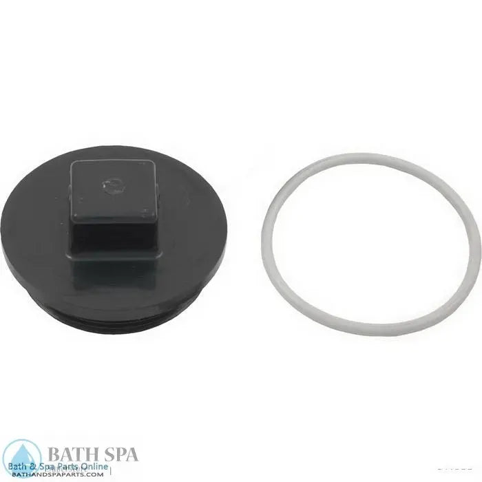 Jacuzzi MD Series 2" Plug With O-Ring (43-3092-02-R) Pool Parts: Pool Skimmers & Parts 55-105-1728_xl