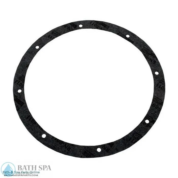American Products Pentair Amerlite 8-Hole Vinyl Light Niche Gasket Kit (79200300) Lighting: Pool & Spa Lighting 79200300