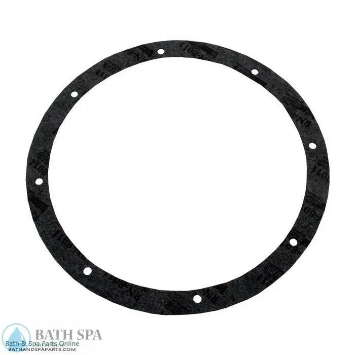 American Products Pentair Amerlite 8-Hole Vinyl Light Niche Gasket Kit (79200300) Lighting: Pool & Spa Lighting 79200300