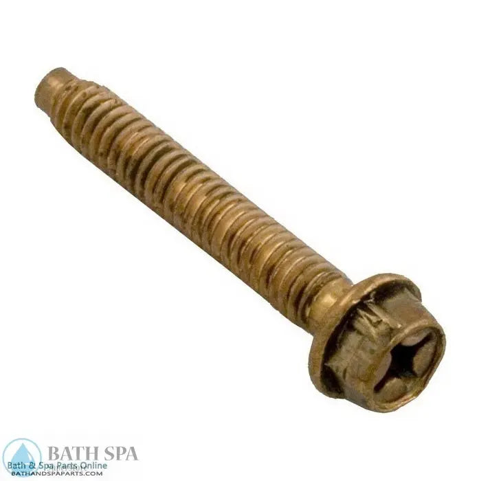 American Products Pentair Spabrite 1/4-20 x 1" Light Bolt (79210600) Lighting: Pool & Spa Lighting 79210600