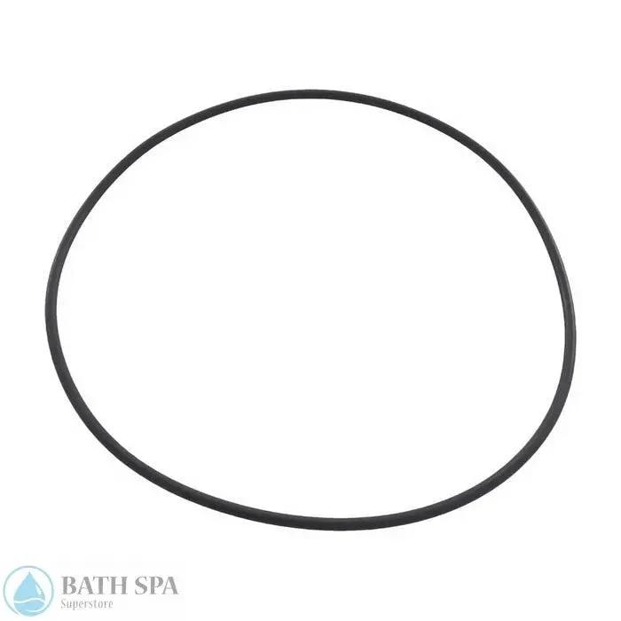CMP Leaf Canister Lid O-Ring (58309-000-020) O-Rings 87-605-1062_xl