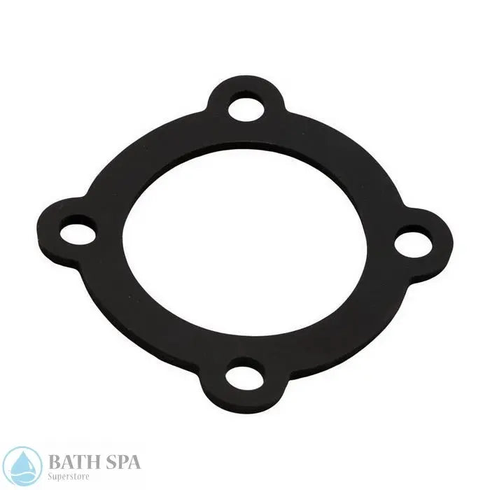 American Products Aqualumin/Aqualumin II Light Gasket (87206300) Lighting: Pool & Spa Lighting 87206300