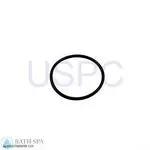 Hayward SP1580 Series Power-Flo LX Pump| Parts| #10 O-ring, End Connector Power Flo (O-41)