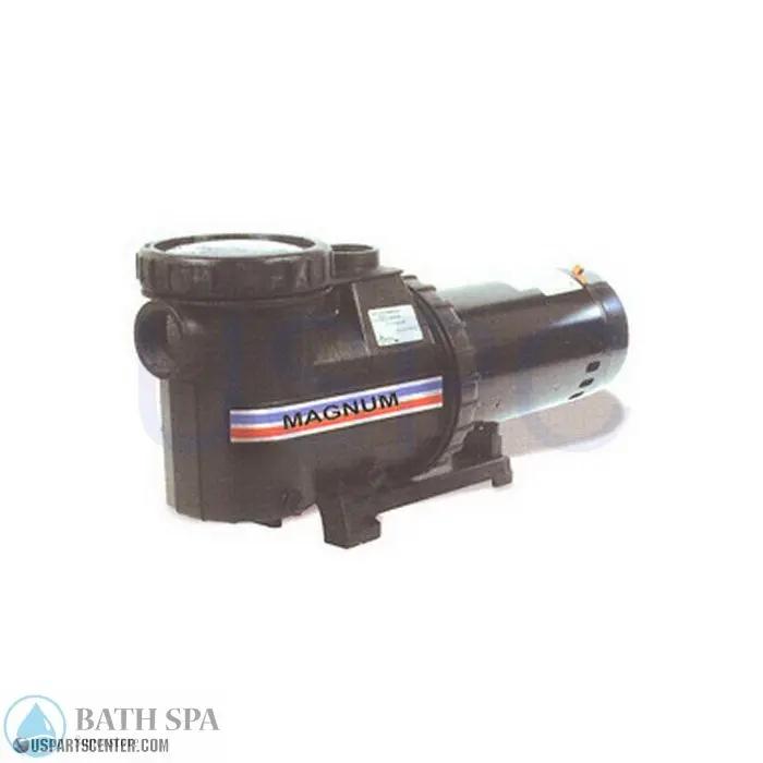 Magnum Series Pumps Overhaul Kits Pool Parts magnum-pump