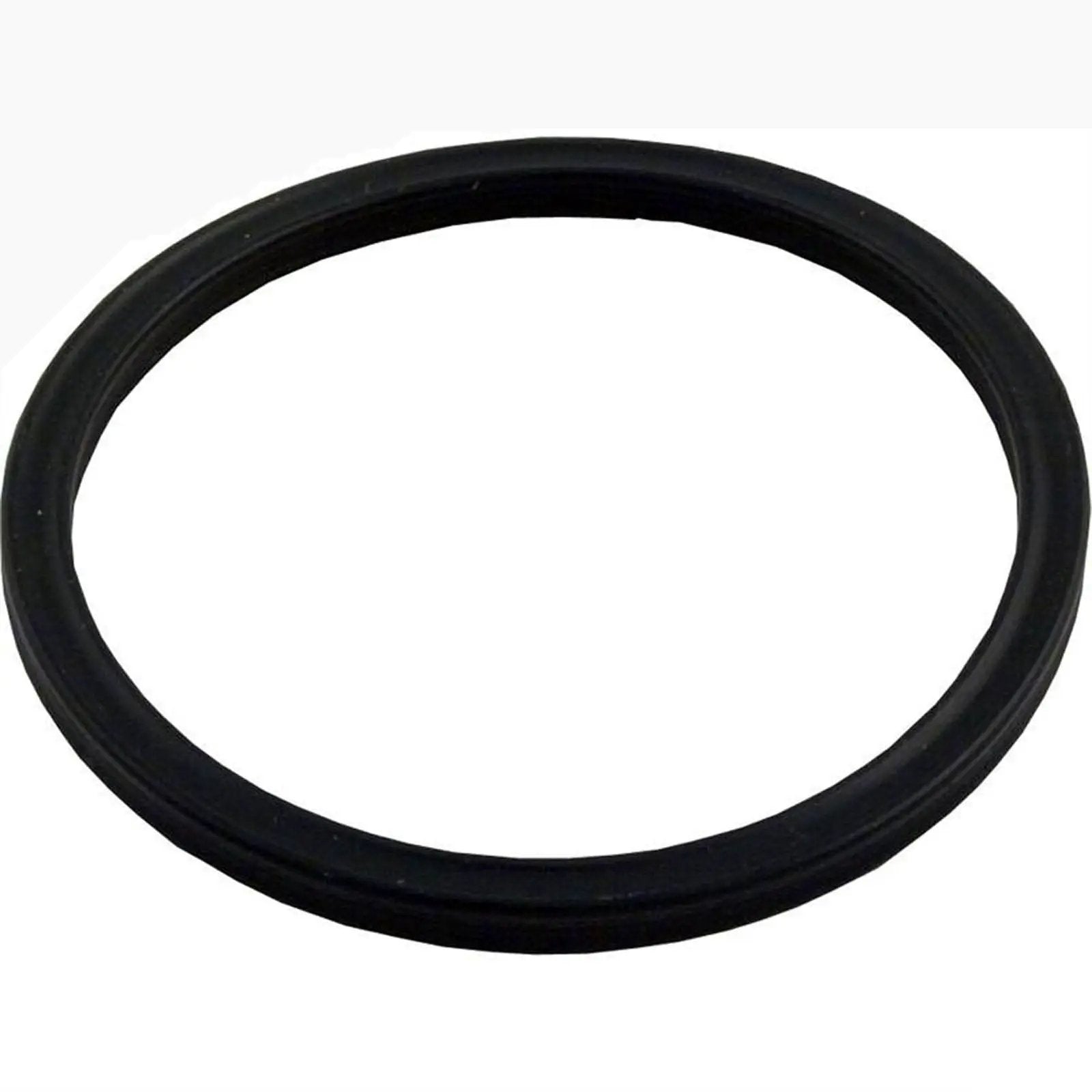 O-ring - diffuser [355030] by Pentair Pool Products