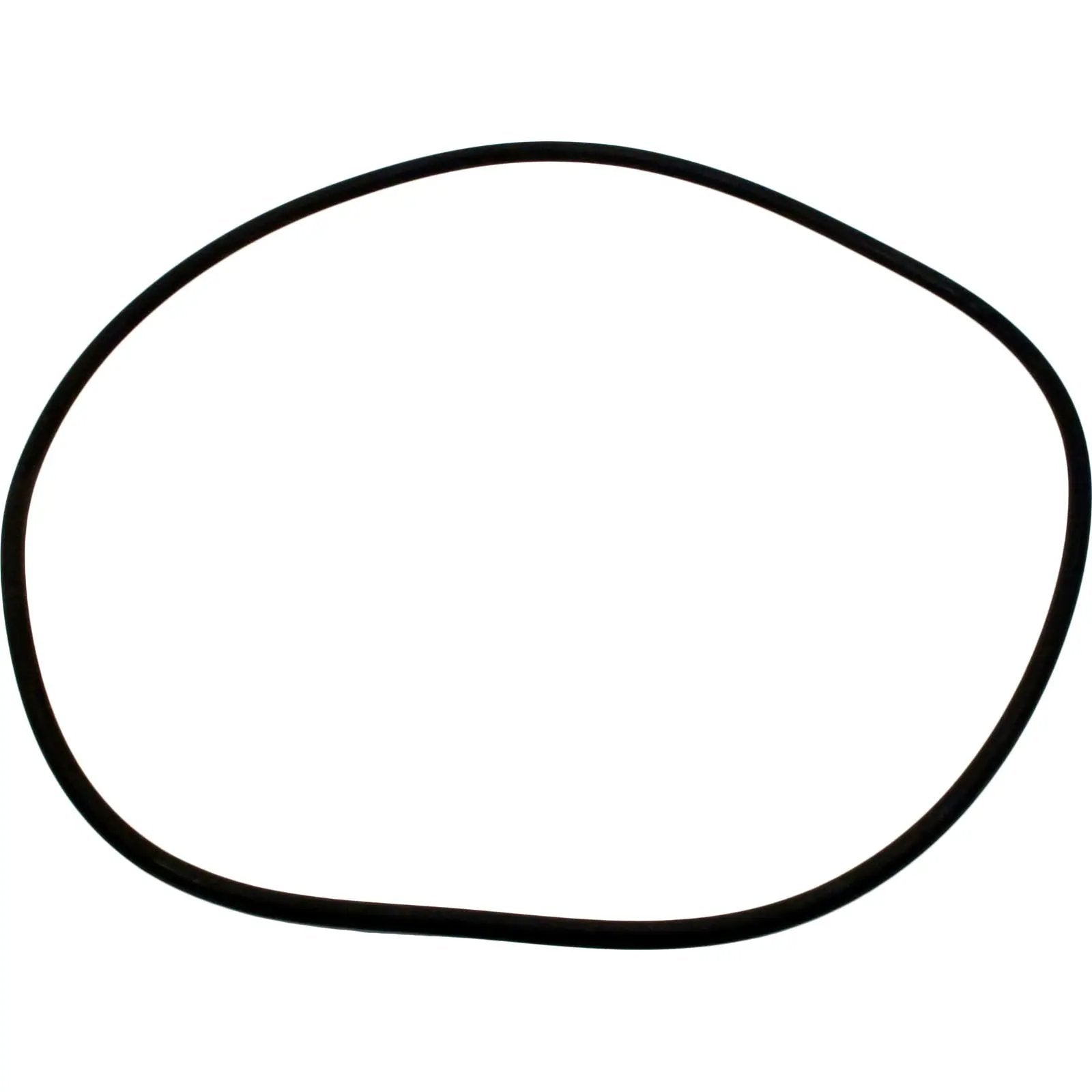 O-Ring [O-101] for SwimQuip and Jacuzzi Filters Spa Parts 47-0569-99-R