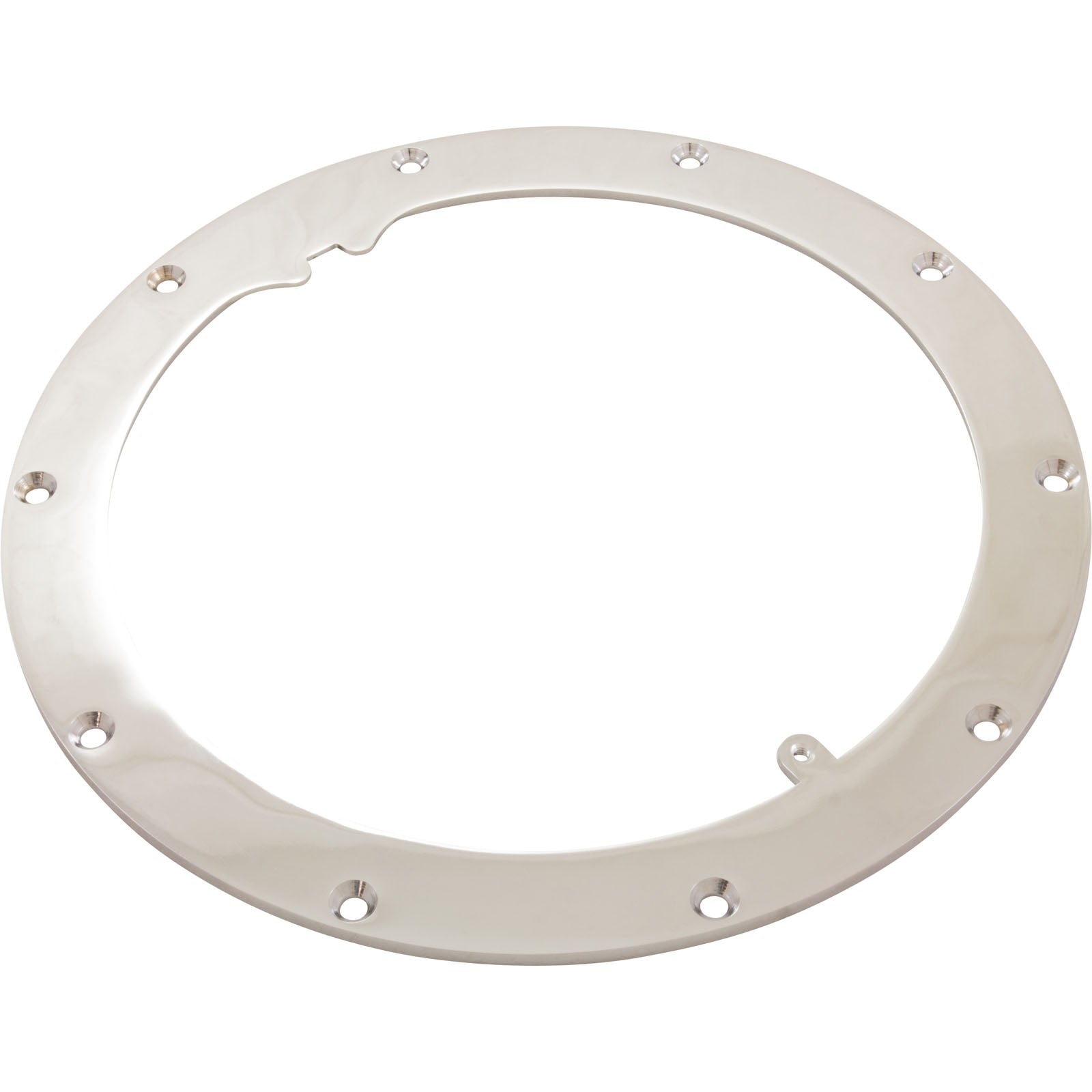 American Products Pentair Amerlite 10-Hole Vinyl Light Niche Sealing Ring (79200200)