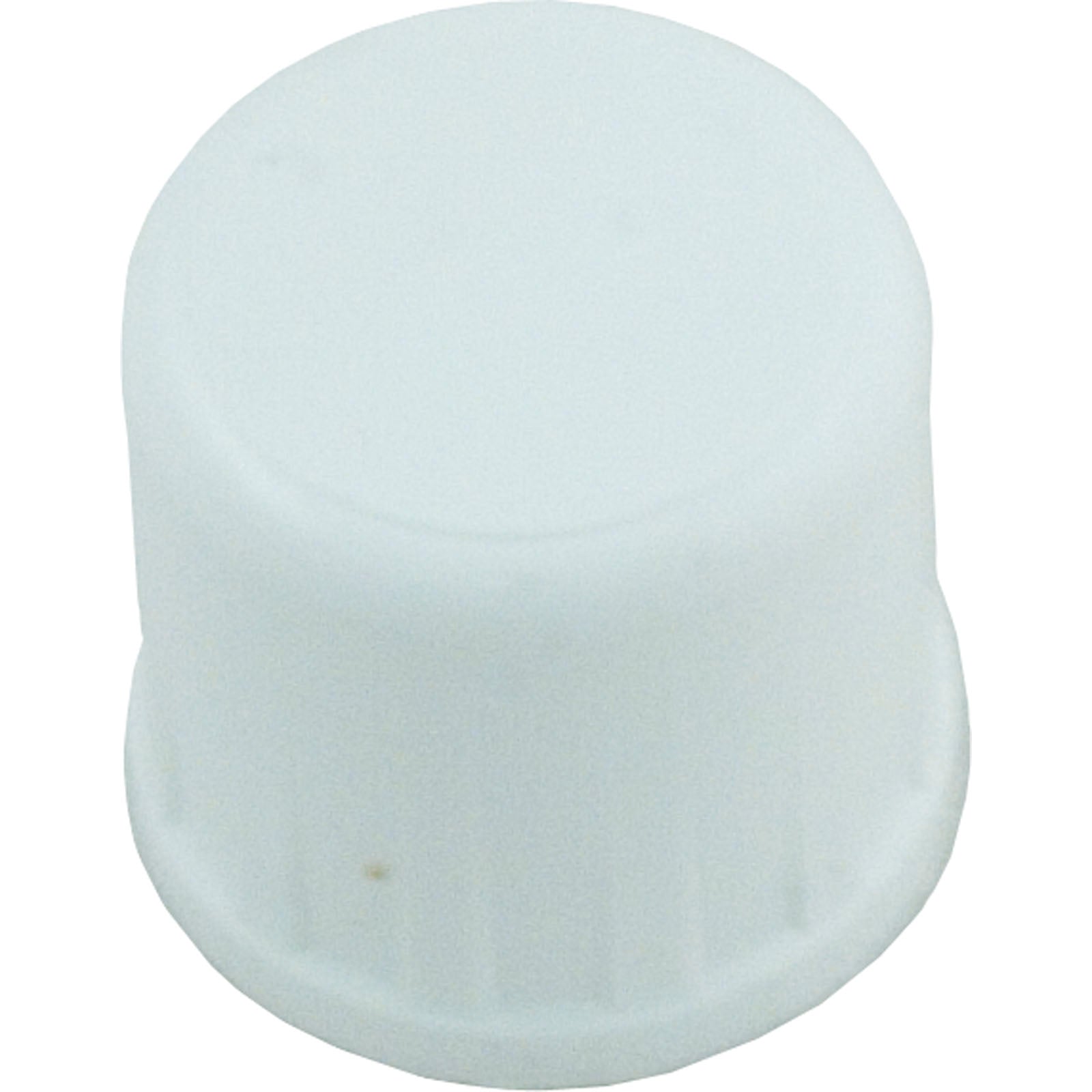 PVC Cap [Slip]