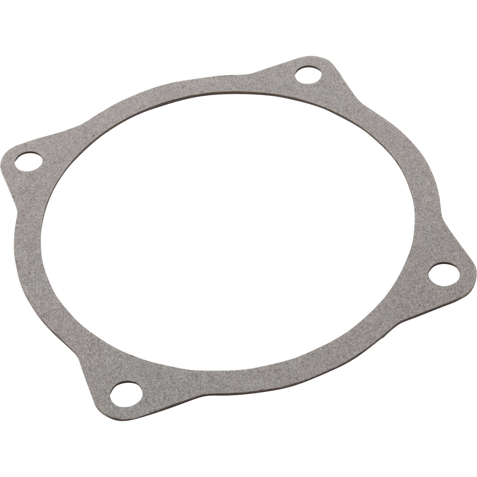 Aqua Flo A Series Volute Gasket (91500050)