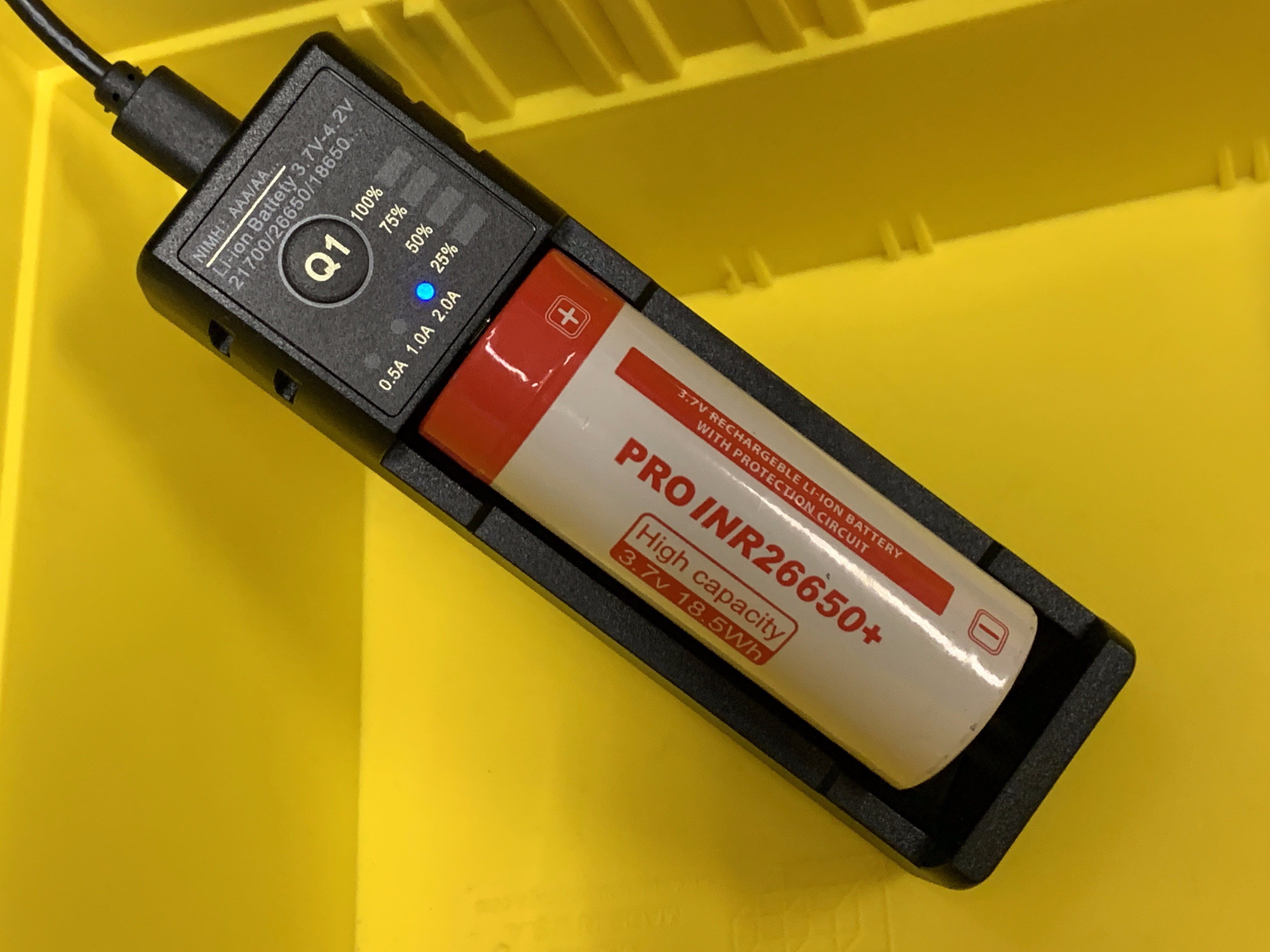 Pro Intelligent Battery Charger