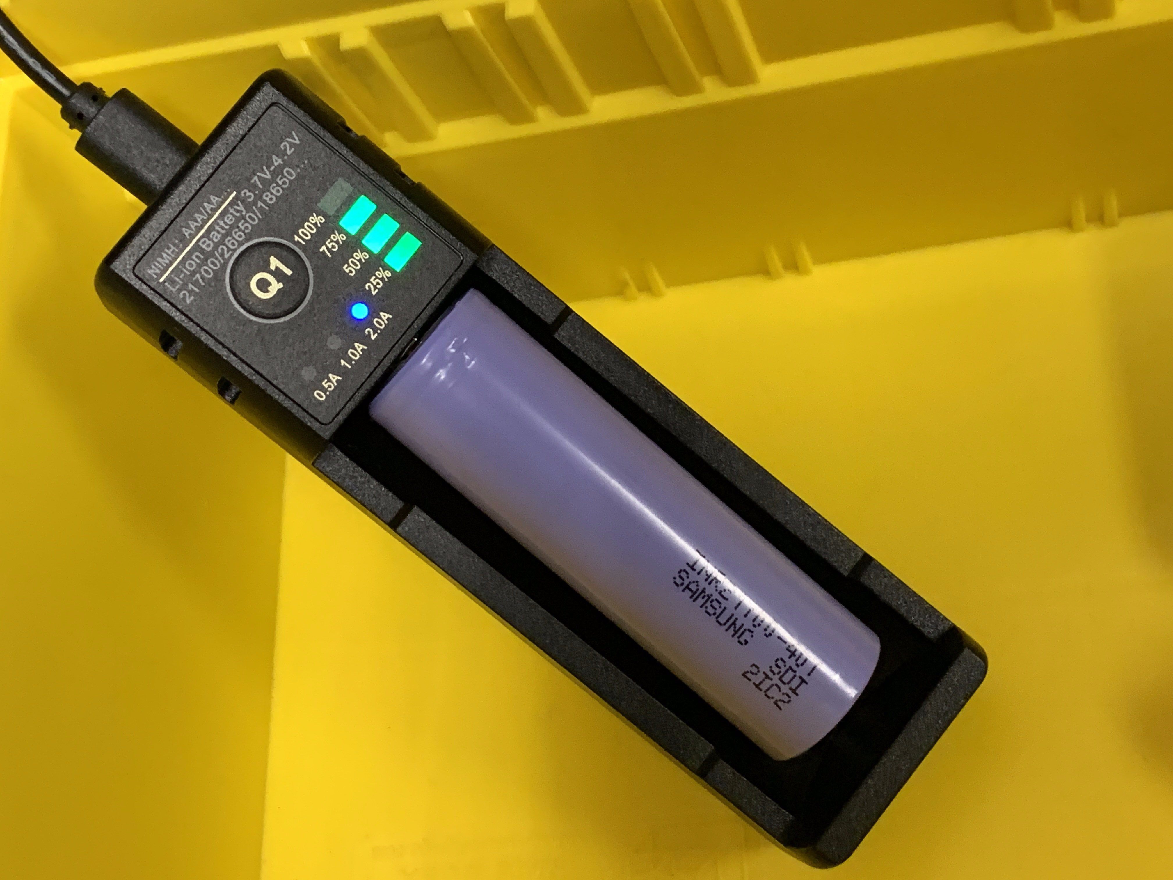 Pro Intelligent Battery Charger